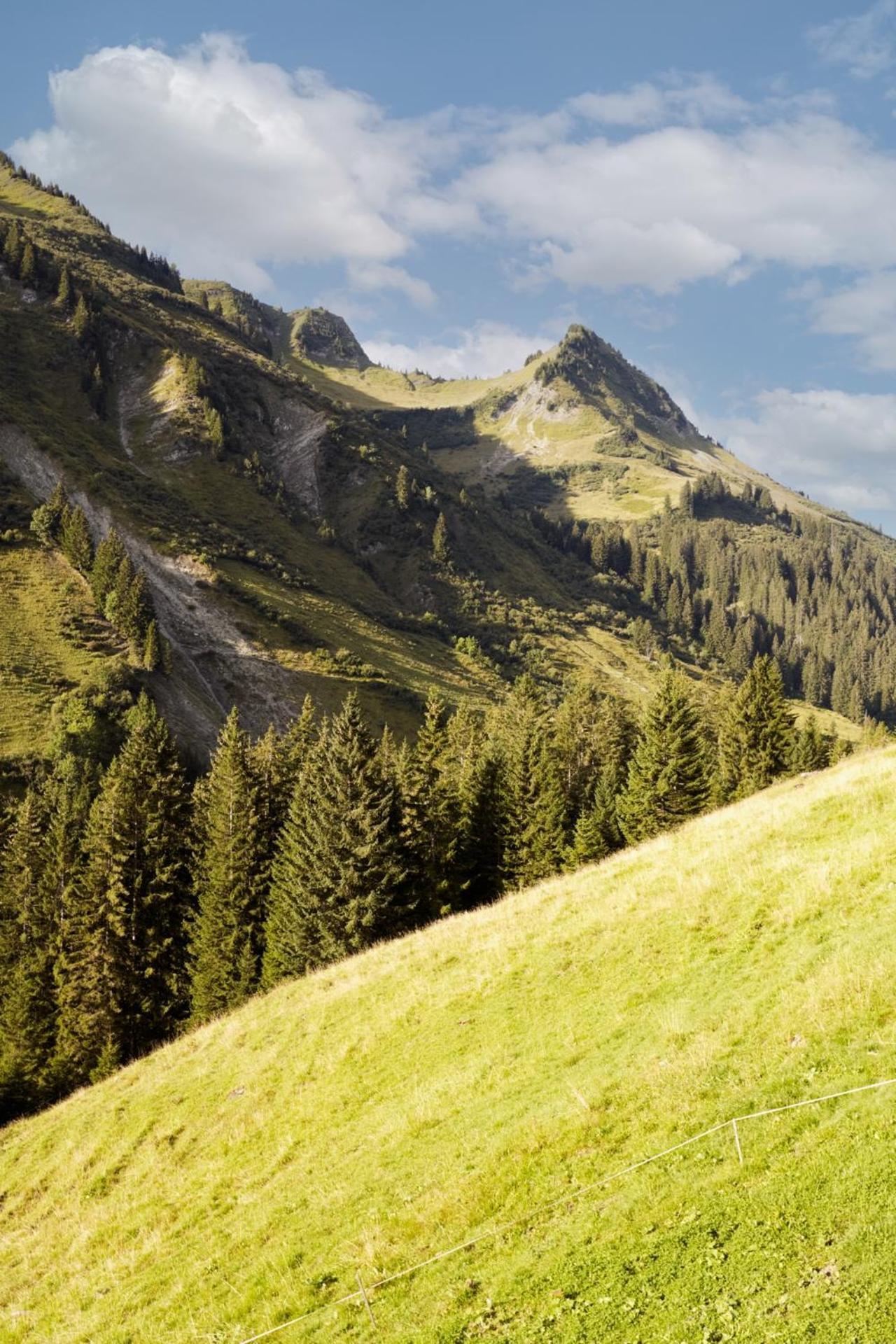 شقة Alpenstolz Damuels Haus 4 - Stilvoll Urlauben In Den Bergen المظهر الخارجي الصورة